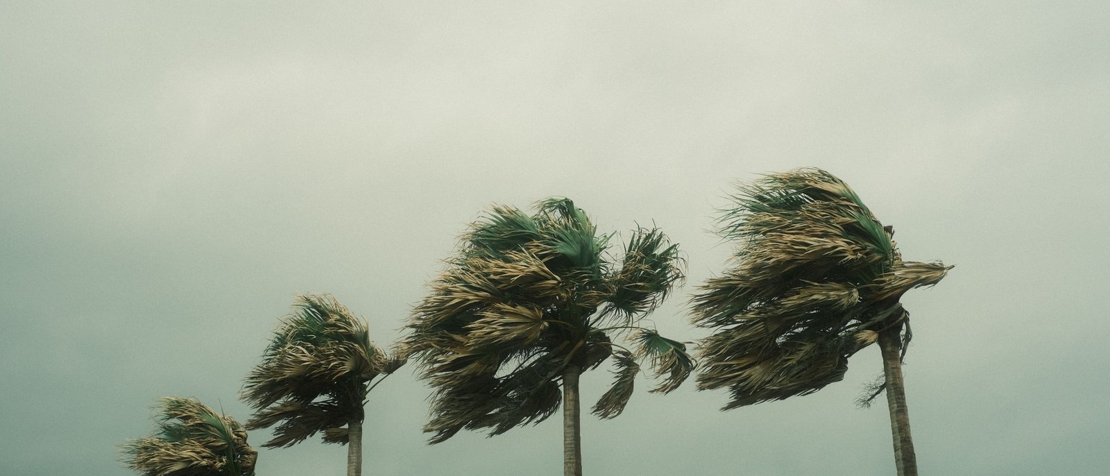 A Storm Is Coming. Do You Know What Your Insurance Actually Covers?